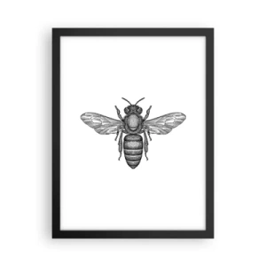 Affiche dans un cadre noir - Poster - Portrait d'insecte - 30x40 cm