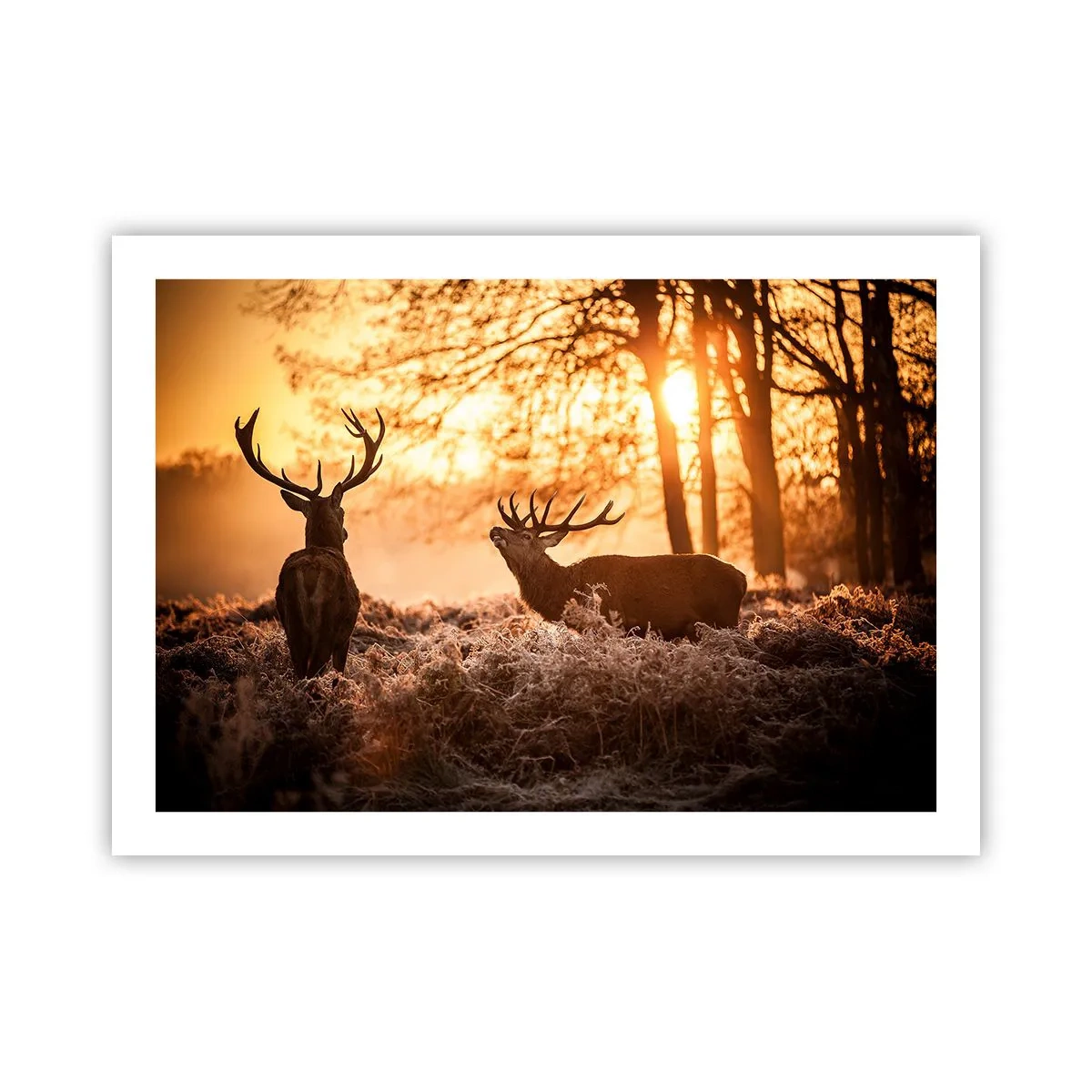 Affiche - Poster - Le rêve d'un chasseur - 70x50 cm