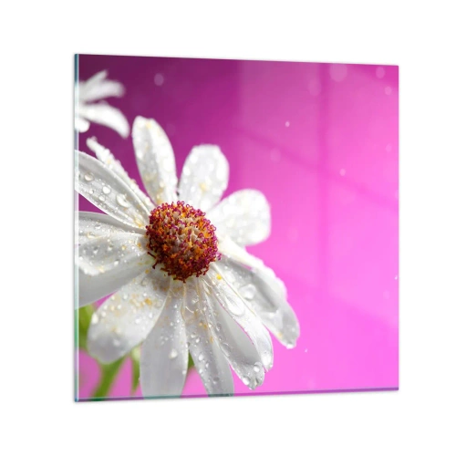 Impression sur verre - Image sur verre - Modeste dans sa beauté - 30x30 cm