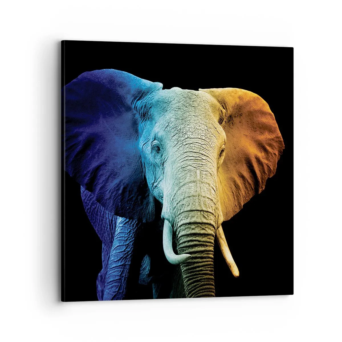 Impression sur toile - Image sur toile - Excentrique, pas bizarre - 70x70 cm