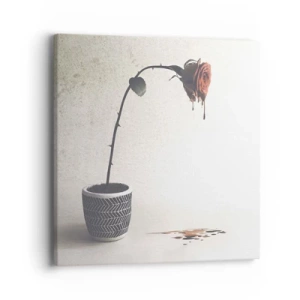 Impression sur toile - Image sur toile - Rosa dolorosa - 40x40 cm