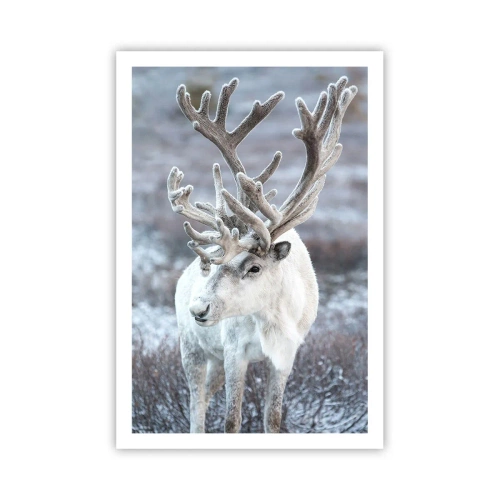 Affiche - Poster - Portrait au soleil - 61x91 cm