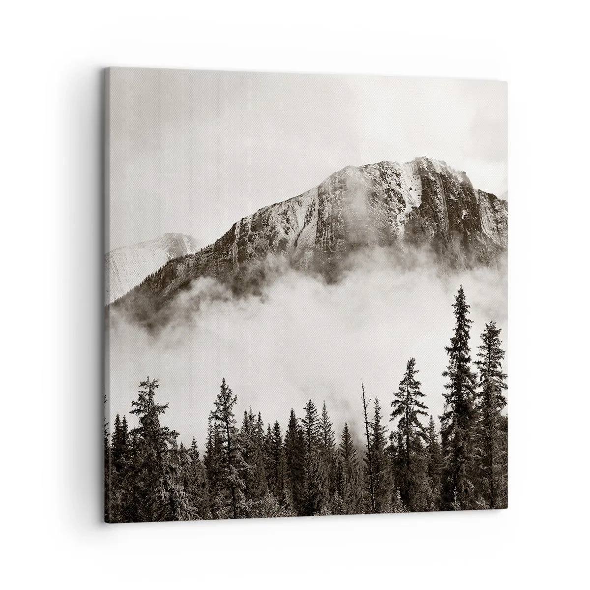 Impression sur toile - Image sur toile - Seigneur de granite - 50x50 cm