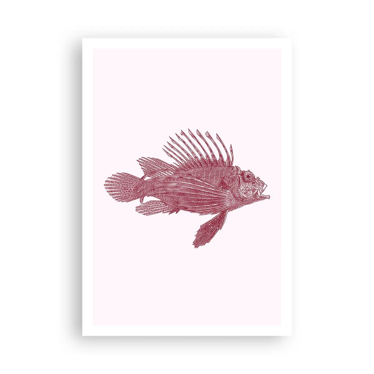 Affiche - Poster - Un habitant des eaux exotiques - 70x100 cm