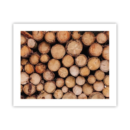 Affiche - Poster - Nouveau commencement - 50x40 cm