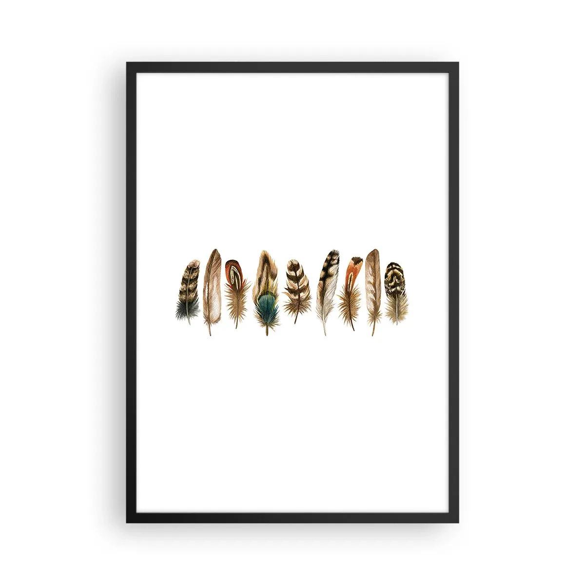 Affiche dans un cadre noir - Poster - Plumes colorées en rangée - 50x70cm - Variation à plumes - Décoration murale moderne pour le salon et la chambre ARTTOR