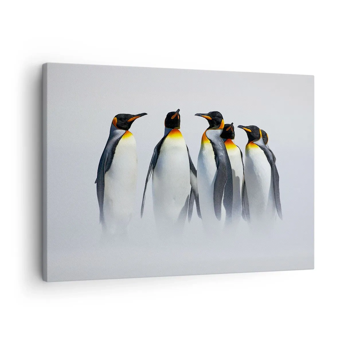 Impression sur toile - Image sur toile - Un groupe de manchots empereurs dans le brouillard hivernal - 70x50cm - Rencontre en robes de soirée - Décoration murale moderne pour le salon et la chambre ARTTOR