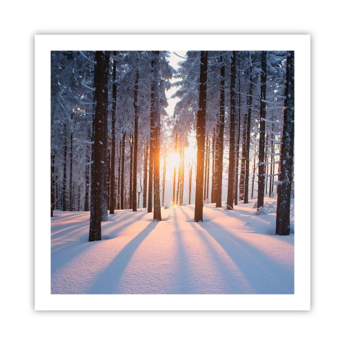 Affiche - Poster - Clairement en noir et blanc - 60x60 cm