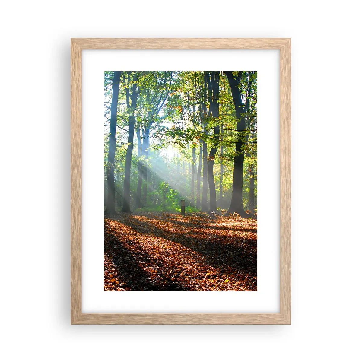 Affiche dans un chêne clair - Poster - Ombres et lumières - 30x40 cm