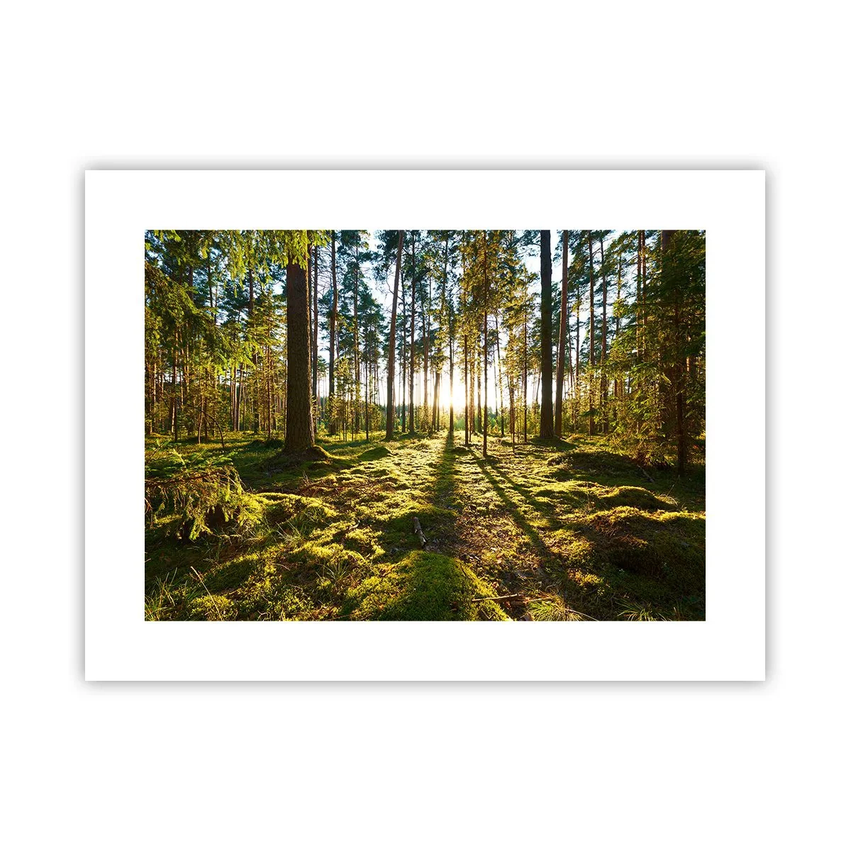 Affiche - Poster - … Derrière les sept forêts - 40x30 cm
