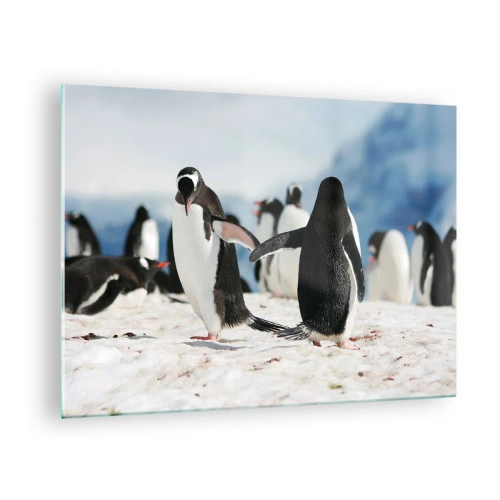 Impression sur verre - Image sur verre - Pingouins dans la neige dans un paysage polaire - 70x50cm - Danser dans la neige - Décoration murale moderne pour le salon et la chambre ARTTOR