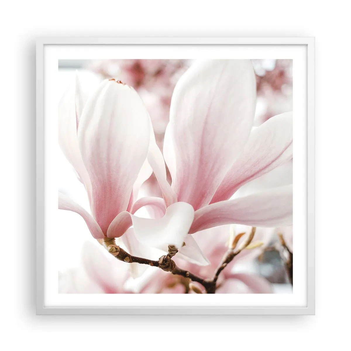 Affiche dans un cadre blanc - Poster - Abondance de tendresse - 60x60 cm