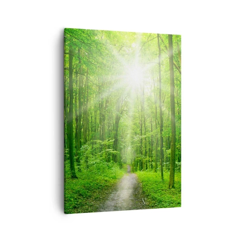 Impression sur toile - Image sur toile - Chemin dans la forêt avec les rayons du soleil - 50x70cm - Cathédrale verte - Décoration murale moderne pour le salon et la chambre ARTTOR