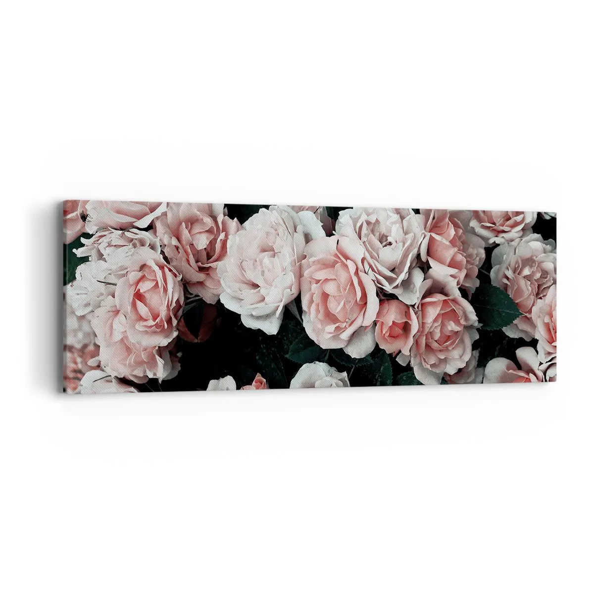 Impression sur toile - Image sur toile - Ensemble de rose - 90x30 cm