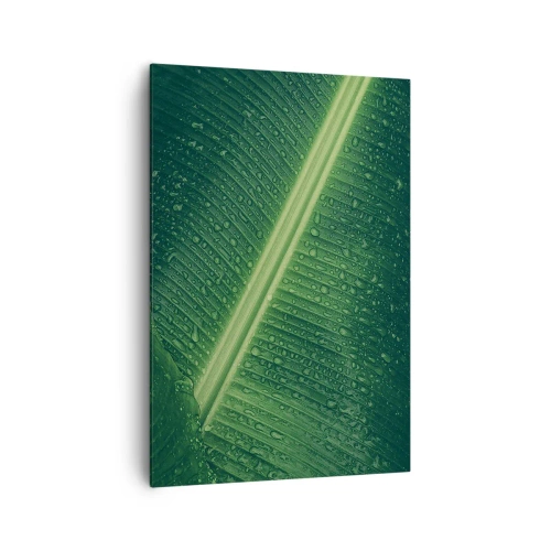 Impression sur toile - Image sur toile - Une feuille verte avec des gouttes d'eau à sa surface - 70x100cm - Structure de vert - Décoration murale moderne pour le salon et la chambre ARTTOR