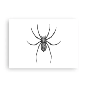 Affiche - Poster - Une précision troublante - 70x50 cm