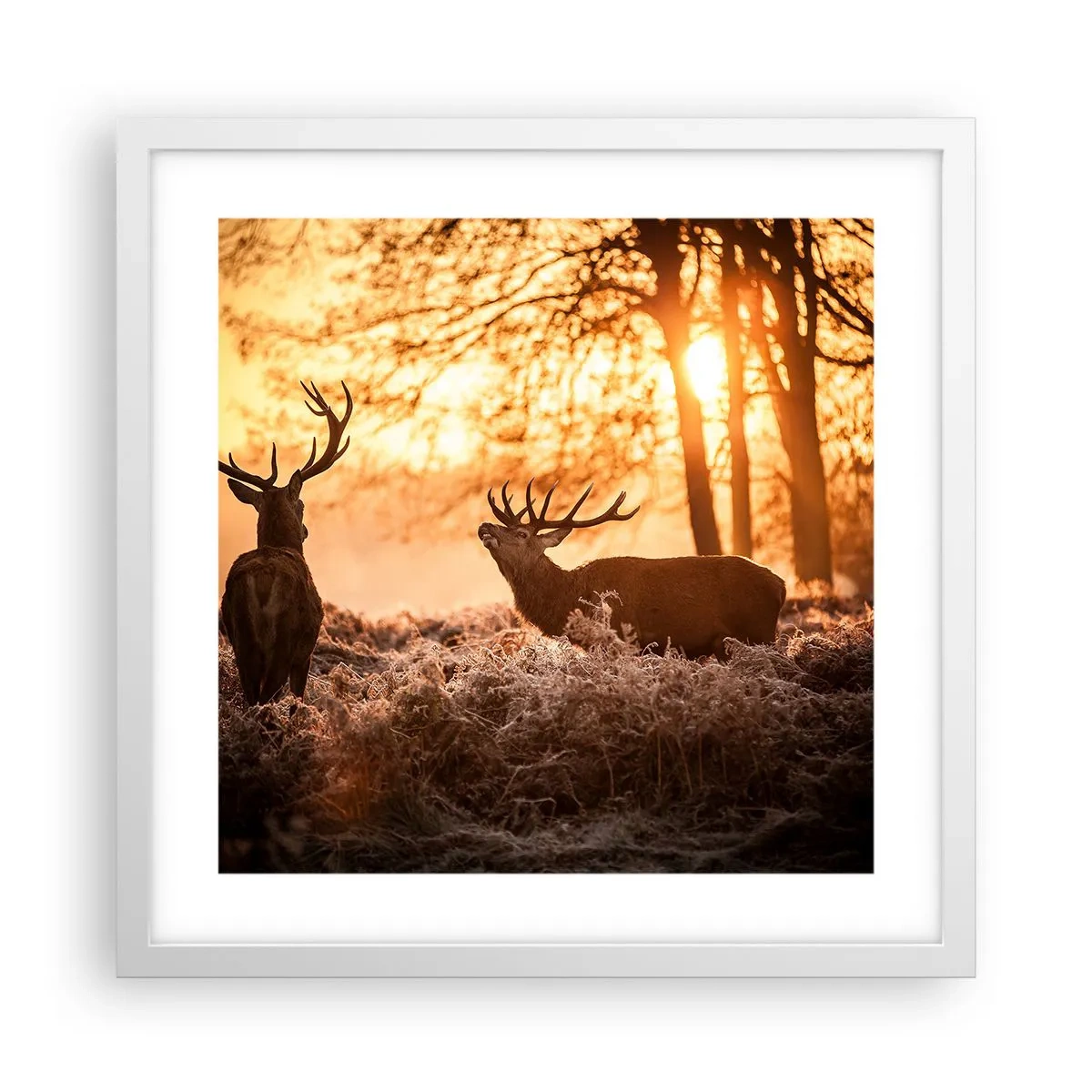 Affiche dans un cadre blanc - Poster - Le rêve d'un chasseur - 40x40 cm