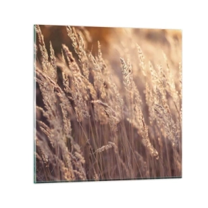 Impression sur verre - Image sur verre - Prêt à accueillir l'automne - 70x70 cm