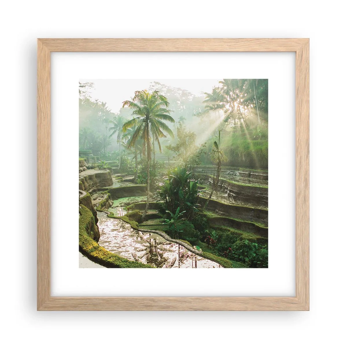 Affiche dans un chêne clair - Poster - Grandir au soleil - 30x30 cm