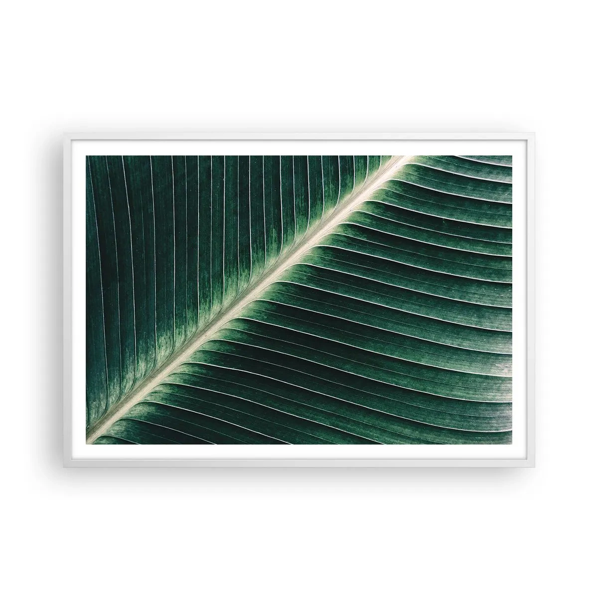 Affiche dans un cadre blanc - Poster - Le rythme de la nature - 100x70 cm