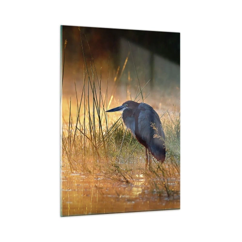 Impression sur verre - Image sur verre - Coucher de soleil sur un lac avec un héron - 50x70cm - Allez, laissez-moi en paix avec ces photos - Décoration murale moderne pour le salon et la chambre ARTTOR