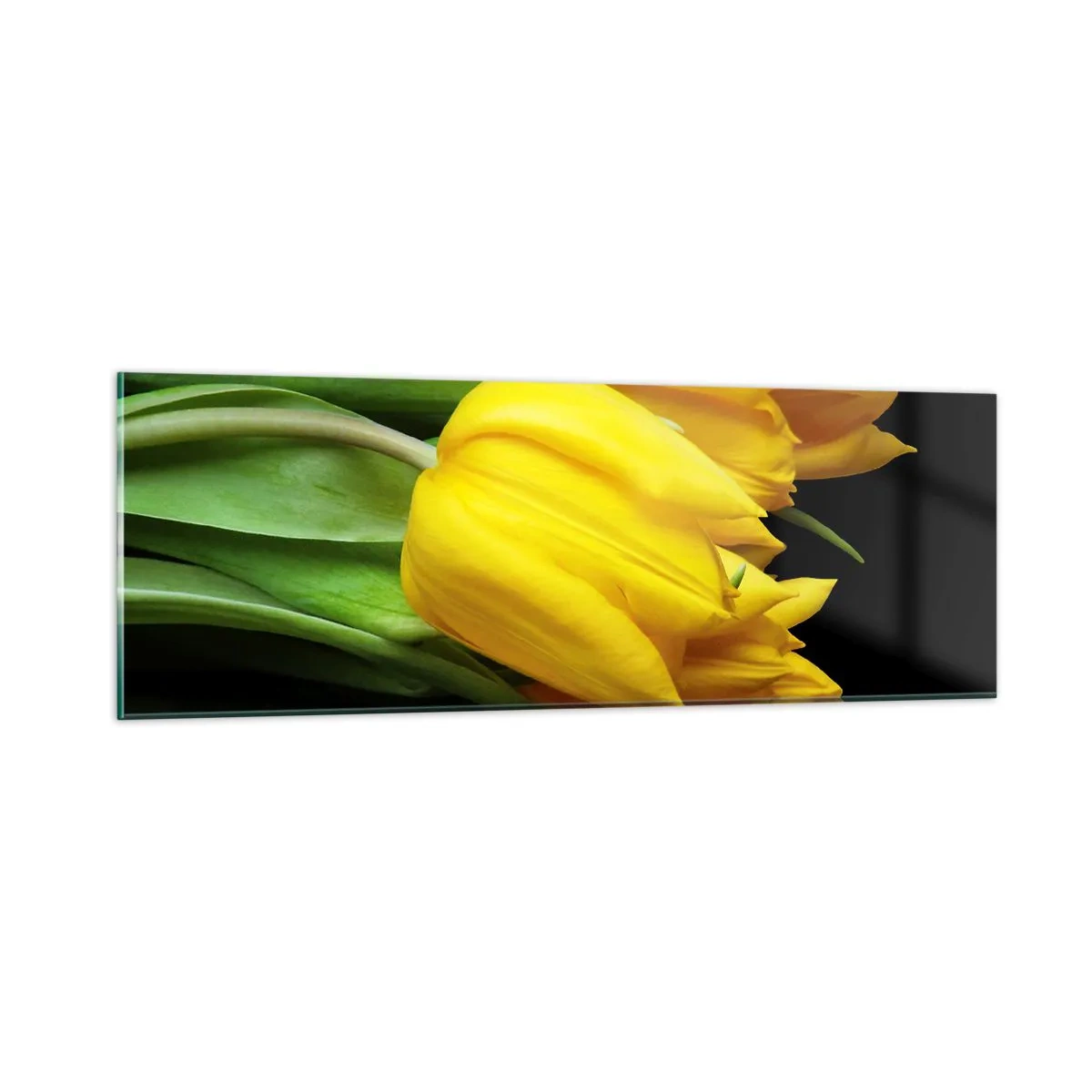 Impression sur verre - Image sur verre - Lever de soleil pur - 90x30 cm