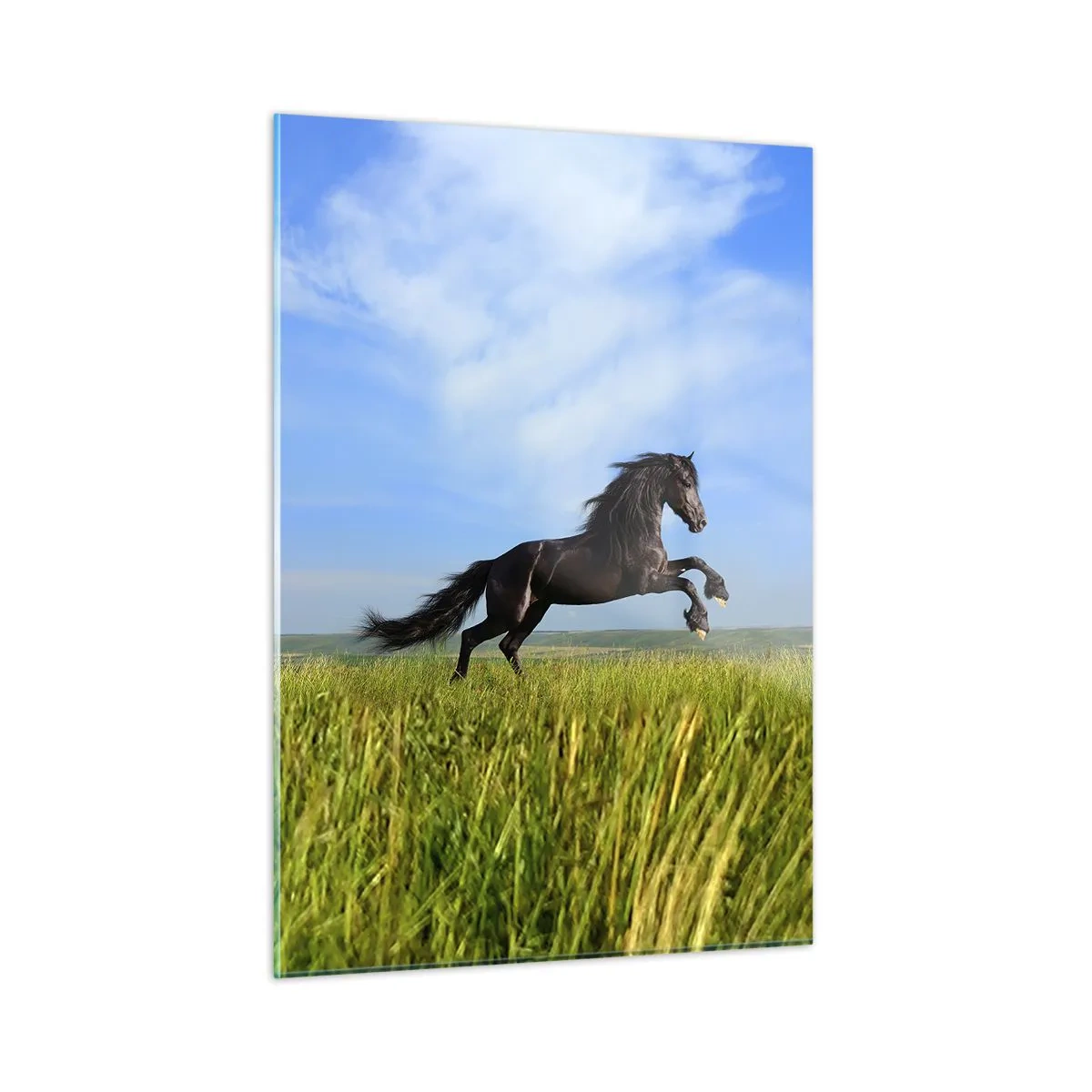 Impression sur verre - Image sur verre - Un cheval noir galopant contre un ciel bleu et une prairie verte. - 50x70cm - Un manifeste de liberté passionnant - Décoration murale moderne pour le salon et la chambre ARTTOR