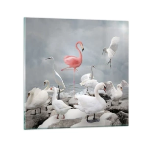 Impression sur verre - Image sur verre - Comment suis-je arrivé là? - 50x50 cm