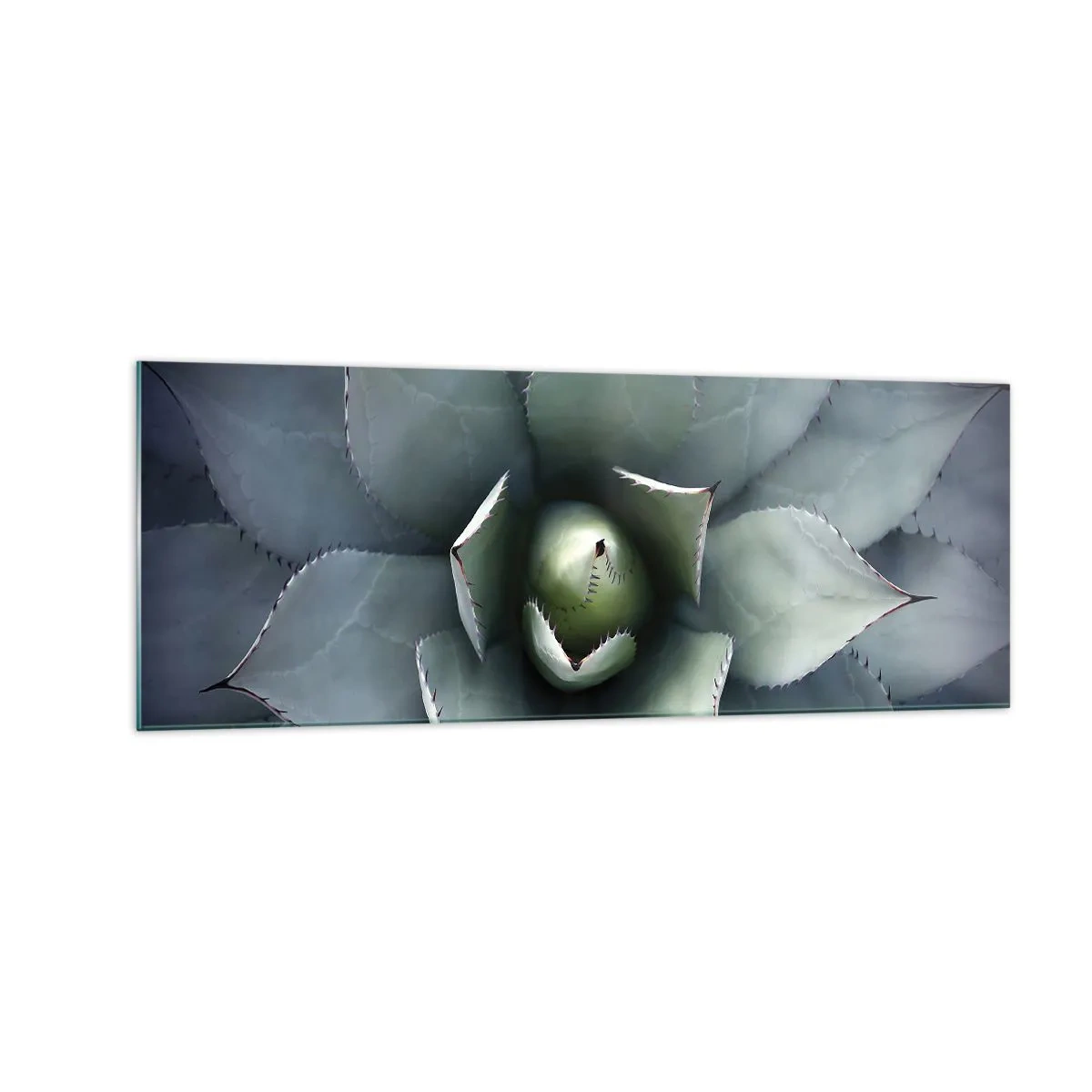 Impression sur verre - Image sur verre - Gros plan d'une rosette d'agave aux délicates nuances de vert - 140x50cm - Wabi et observe - Décoration murale moderne pour le salon et la chambre ARTTOR