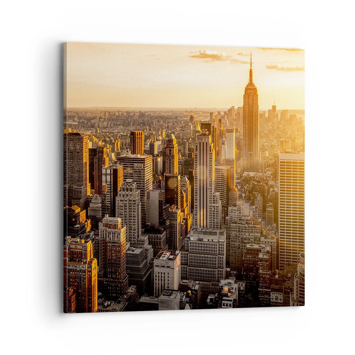 Impression sur toile - Image sur toile - Grandir au soleil - 70x70 cm