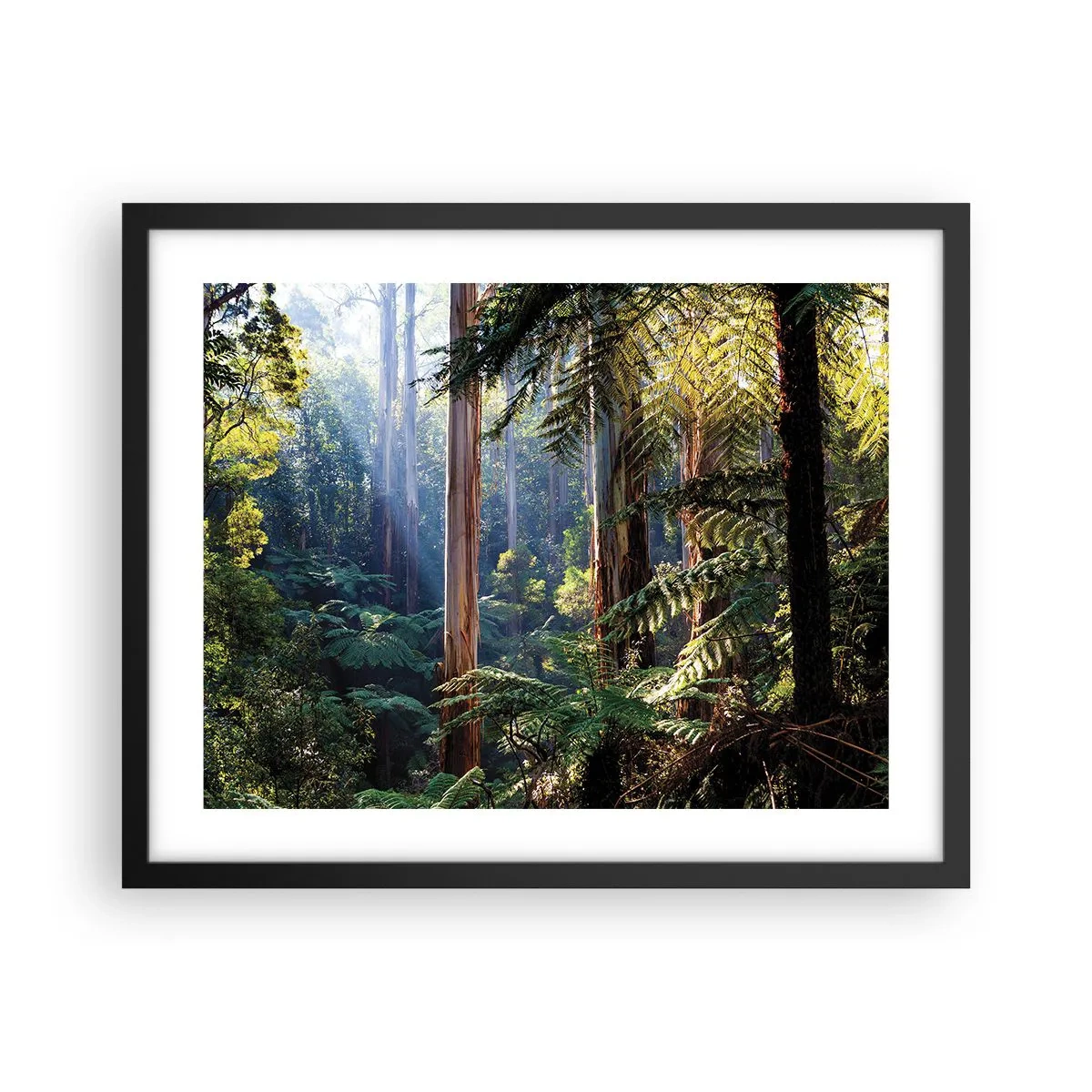 Affiche dans un cadre noir - Poster - Fable de la forêt - 50x40 cm