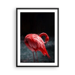 Affiche dans un cadre noir - Poster - Un flamant rouge sur fond sombre, subtilement tourné vers lui-même. - 50x70cm - Poème cramoisi de la nature - Décoration murale moderne pour le salon et la chambre ARTTOR