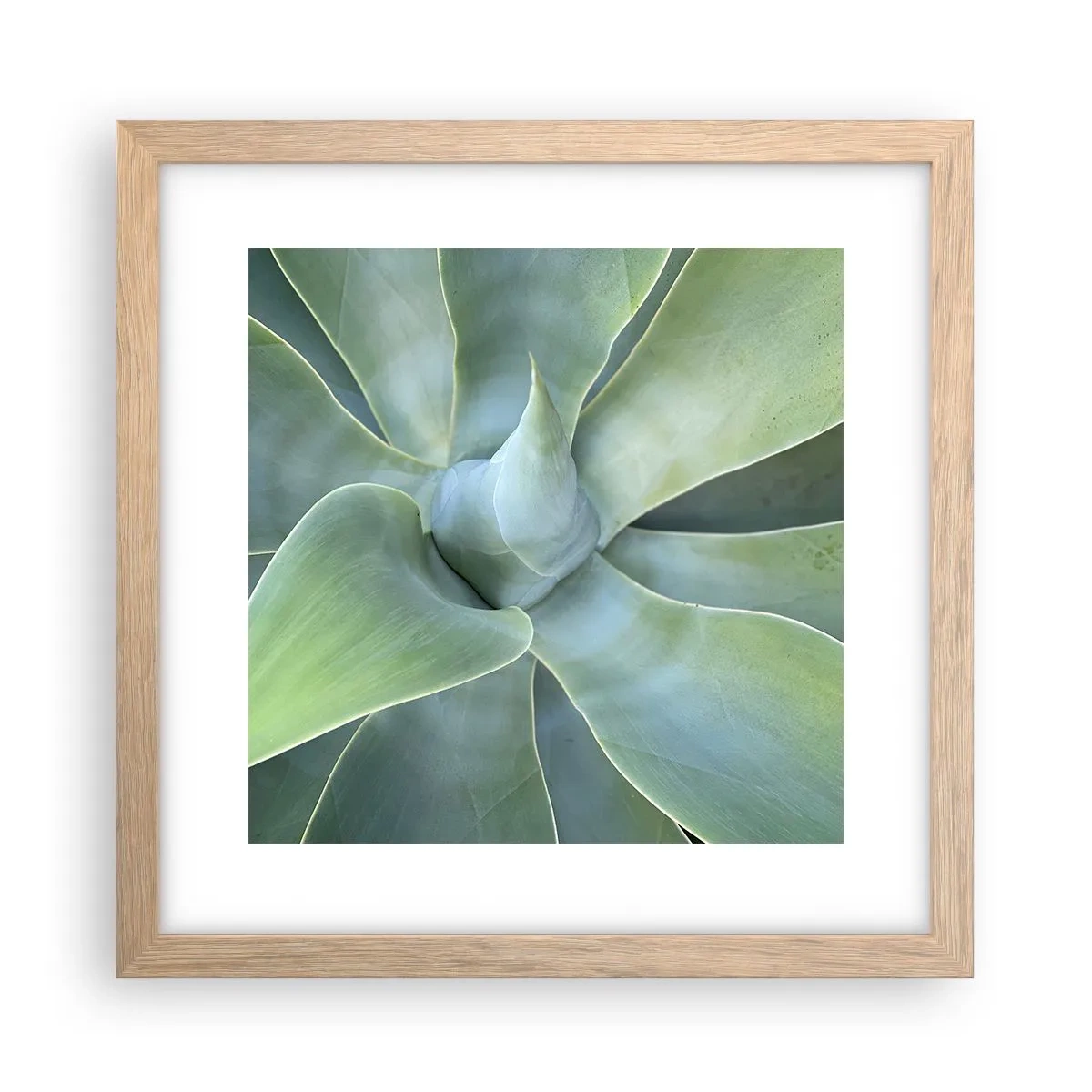 Affiche dans un chêne clair - Poster - La naissance de la verdure - 30x30 cm