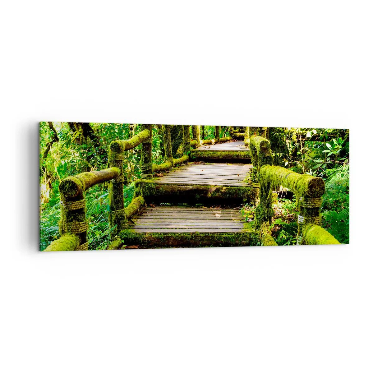 Impression sur toile - Image sur toile - Un pont en bois recouvert de mousse dans une forêt tropicale - 140x50cm - Un couloir de verdure - Décoration murale moderne pour le salon et la chambre ARTTOR
