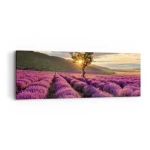 Impression sur toile - Image sur toile - Arôme de couleur lilas - 90x30 cm
