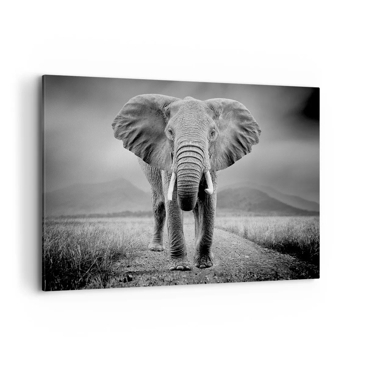 Impression sur toile - Image sur toile - Un puissant éléphant dans la savane aux tons monochromes - 100x70cm - Les hôtes vous saluent - Décoration murale moderne pour le salon et la chambre ARTTOR