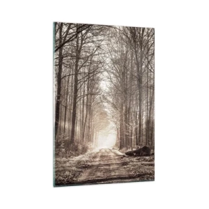 Impression sur verre - Image sur verre - Un chemin forestier parmi des arbres aux tons sépia - 80x120cm - Cathédrale de la forêt - Décoration murale moderne pour le salon et la chambre ARTTOR
