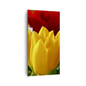 Impression sur toile - Image sur toile - La fièvre des tulipes - 65x120 cm