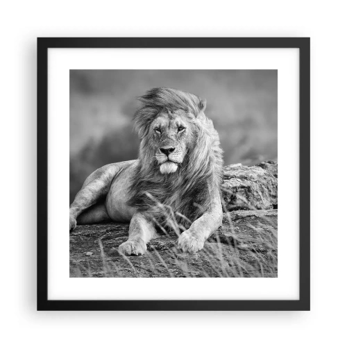 Affiche dans un cadre noir - Poster - Sieste royale - 40x40 cm