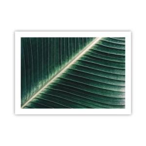 Affiche - Poster - Le rythme de la nature - 70x50 cm