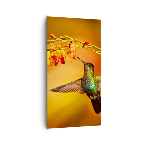 Impression sur toile - Image sur toile - Un messager de lumière selon les Mayas - 65x120 cm