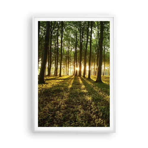 Affiche dans un cadre blanc - Poster - Toutes les photographies de printemps - 70x100 cm