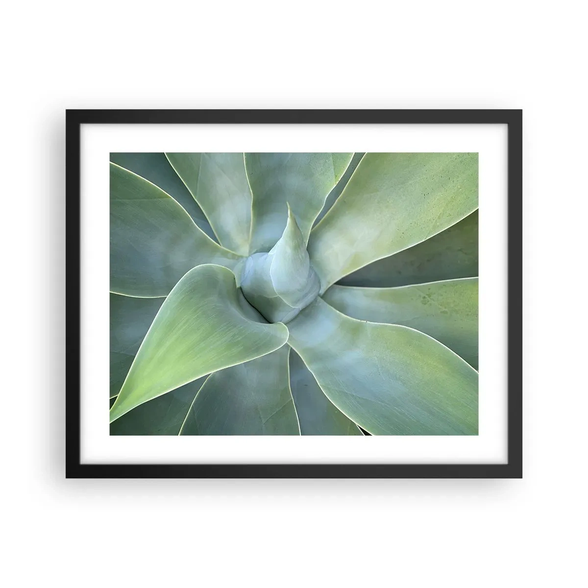 Affiche dans un cadre noir - Poster - La naissance de la verdure - 50x40 cm