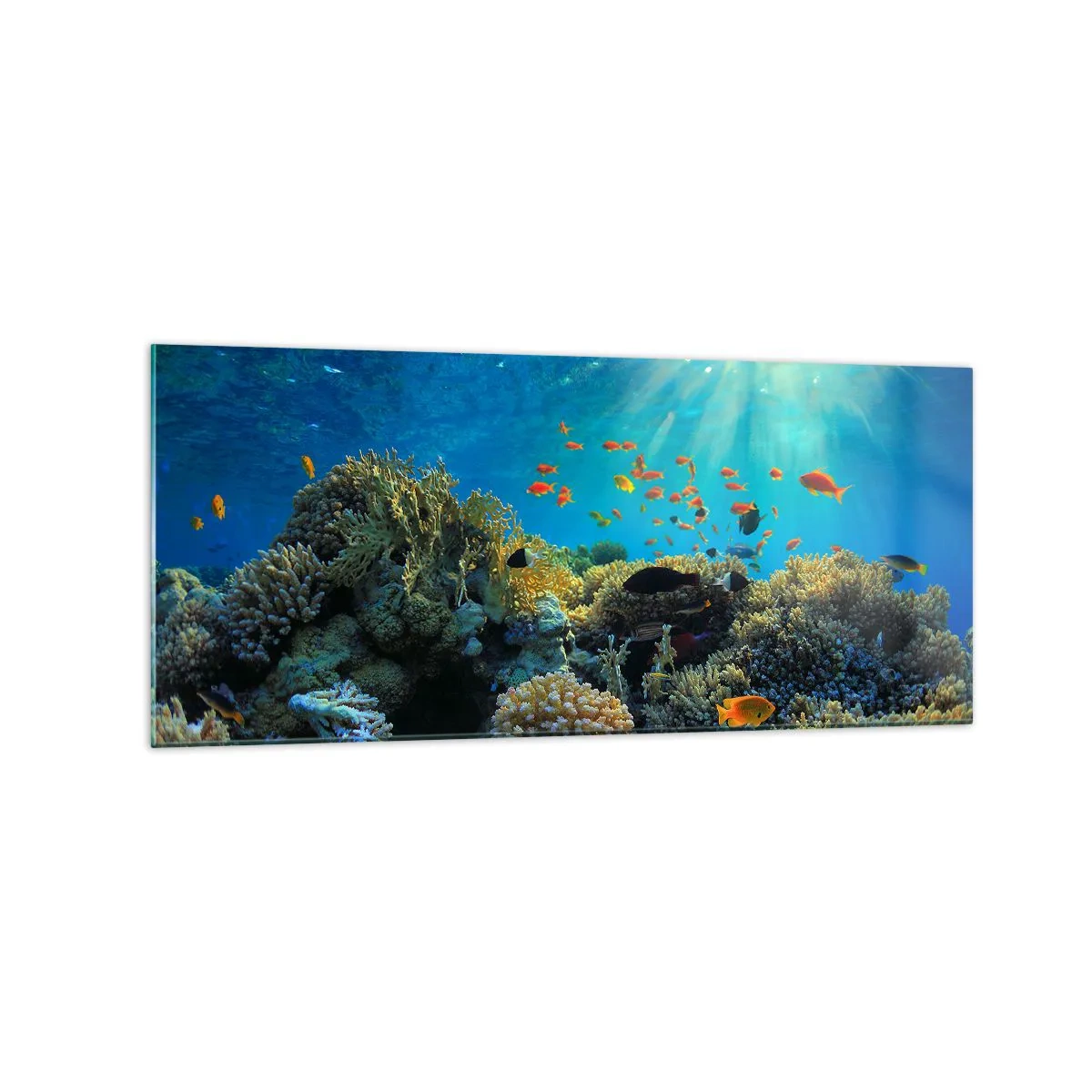 Impression sur verre - Image sur verre - Récif corallien avec des poissons sous les rayons du soleil sous l'eau - 120x50cm - Trésor sous-marin - Décoration murale moderne pour le salon et la chambre ARTTOR