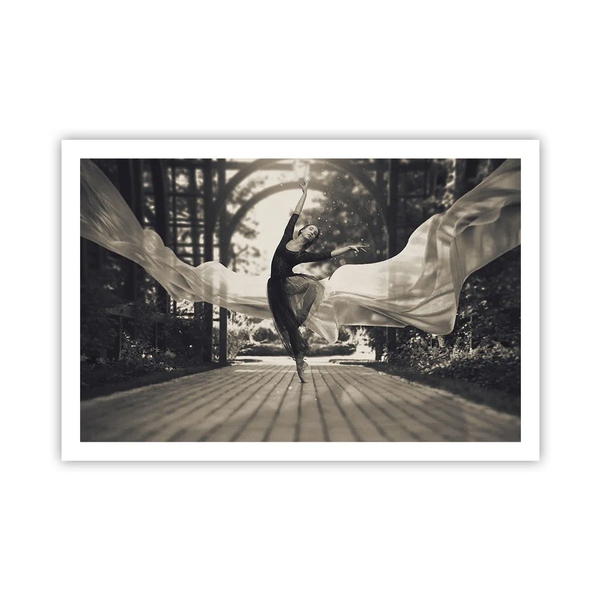 Affiche - Poster - La danse de l'esprit jardin - 91x61 cm