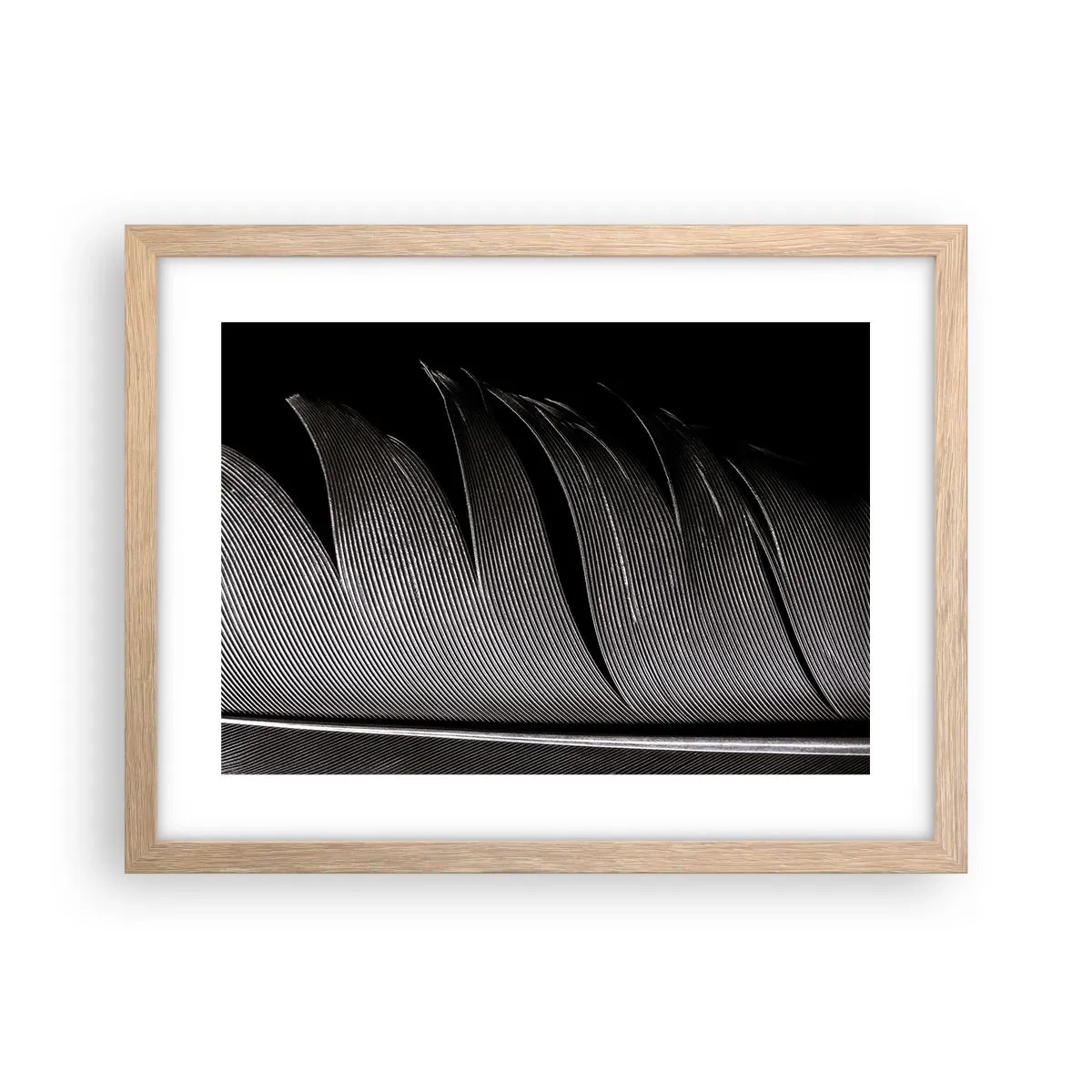 Affiche dans un chêne clair - Poster - La plume – un design magnifique - 40x30 cm