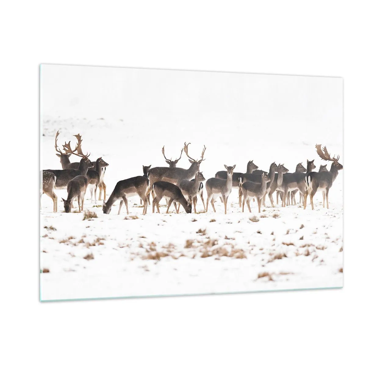 Impression sur verre - Image sur verre - Une photographie d'un troupeau de cerfs dans un paysage enneigé - 120x80cm - Les fêtes approchent ? - Décoration murale moderne pour le salon et la chambre ARTTOR