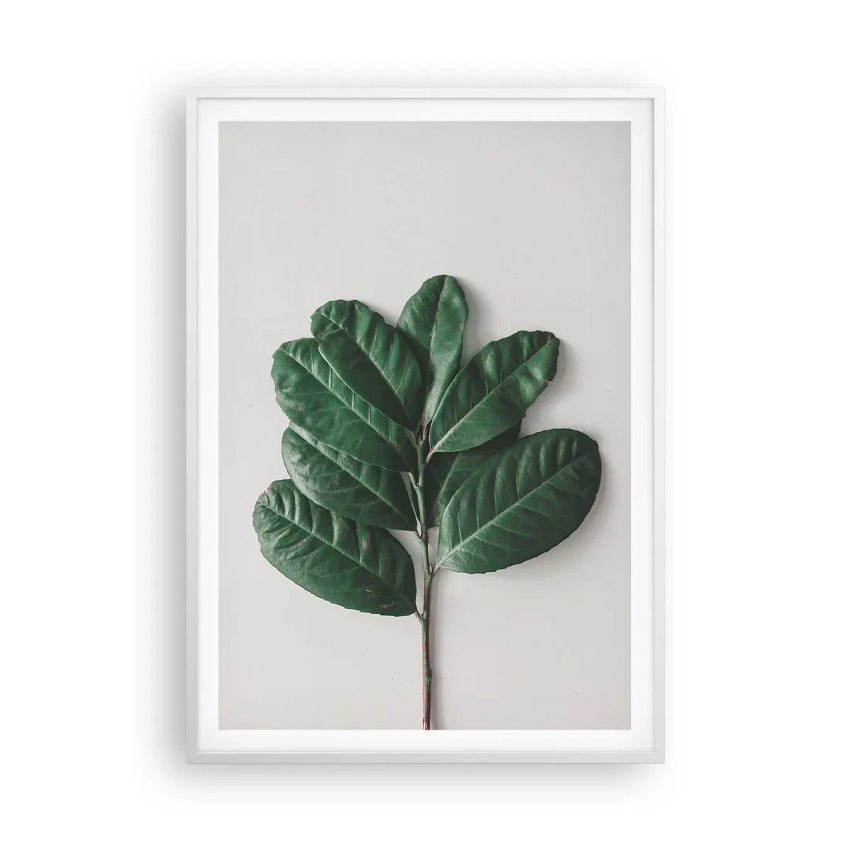 Affiche dans un cadre blanc - Poster - Dessin de la nature elle-même - 70x100 cm