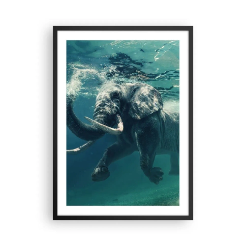 Affiche dans un cadre noir - Poster - Un éléphant nageant dans une eau turquoise - 50x70cm - Tout le monde aime nager - Décoration murale moderne pour le salon et la chambre ARTTOR