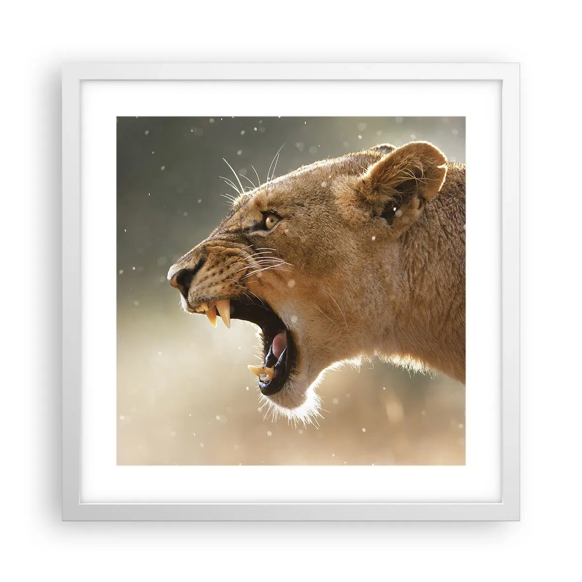 Affiche dans un cadre blanc - Poster - Essayez de ne pas écouter - 40x40 cm